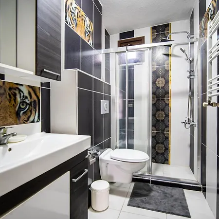 公寓 Comfortable 1br In Beyoglu