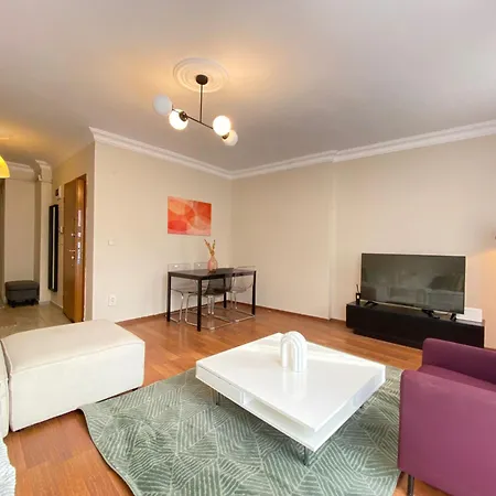 Comfortable 1br In Beyoglu İstanbul