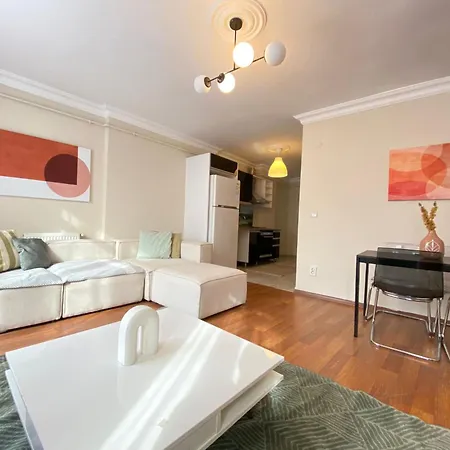 Comfortable 1br In Beyoglu Daire