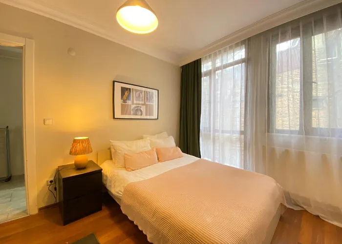 Comfortable 1br In Beyoglu